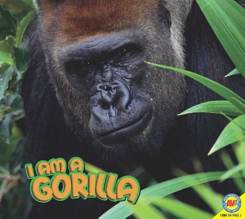 ゴリラズ gorillas レア本 ゴリラズ gorillas レア本 Gorillaz Book | eBay